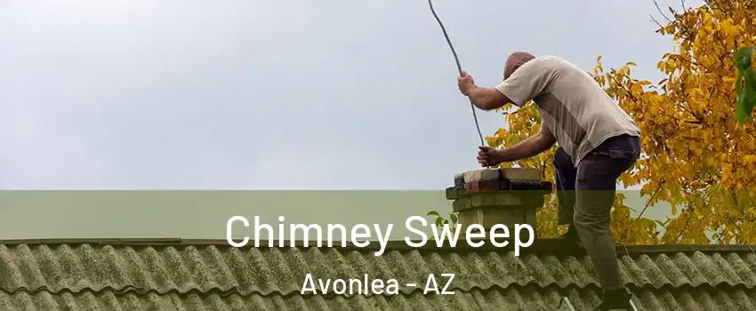 Chimney Sweep Avonlea - AZ