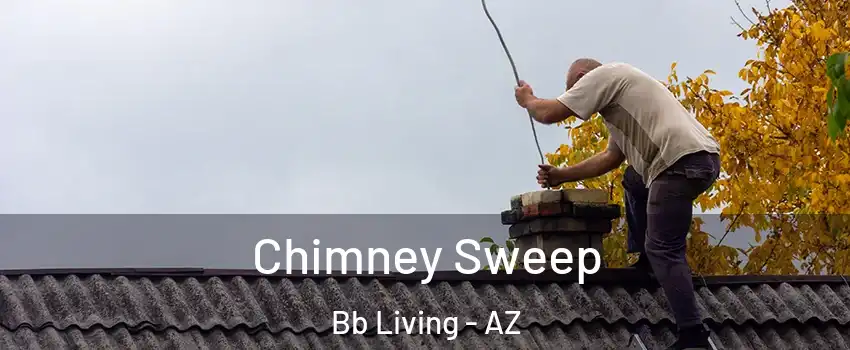 Chimney Sweep Bb Living - AZ
