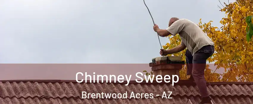 Chimney Sweep Brentwood Acres - AZ