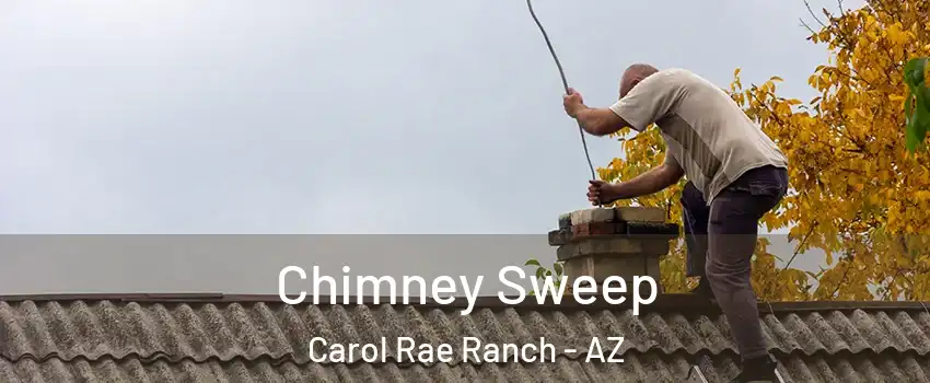 Chimney Sweep Carol Rae Ranch - AZ