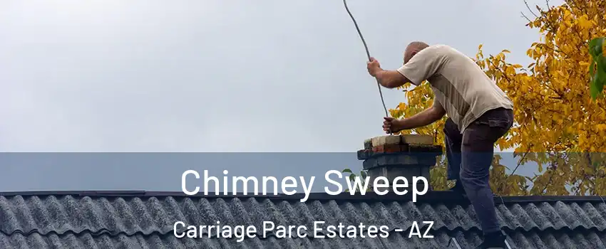 Chimney Sweep Carriage Parc Estates - AZ