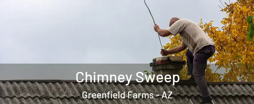 Chimney Sweep Greenfield Farms - AZ