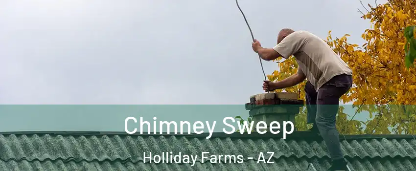 Chimney Sweep Holliday Farms - AZ