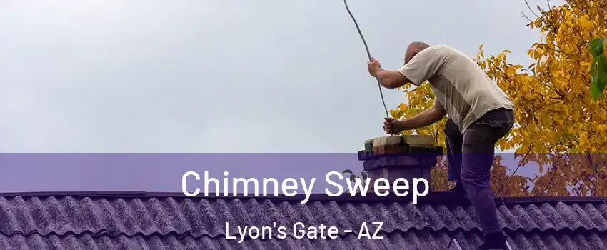 Chimney Sweep Lyon's Gate - AZ