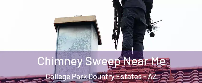 Chimney Sweep Near Me College Park Country Estates - AZ