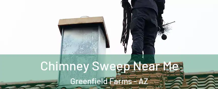 Chimney Sweep Near Me Greenfield Farms - AZ