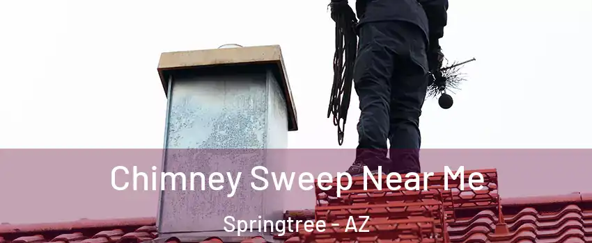 Chimney Sweep Near Me Springtree - AZ
