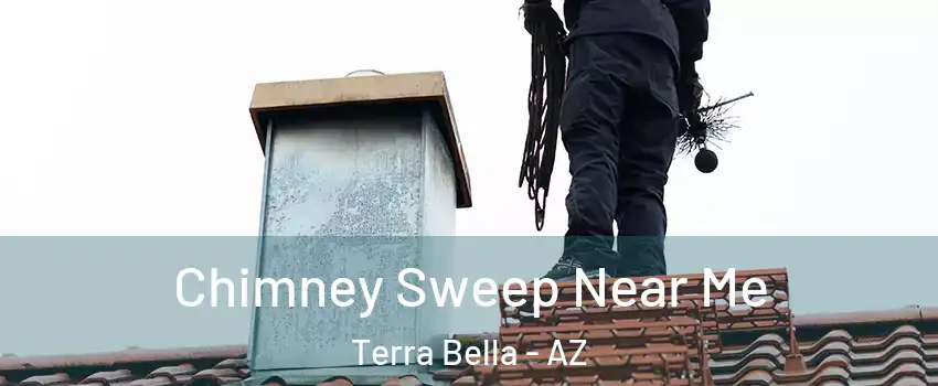 Chimney Sweep Near Me Terra Bella - AZ