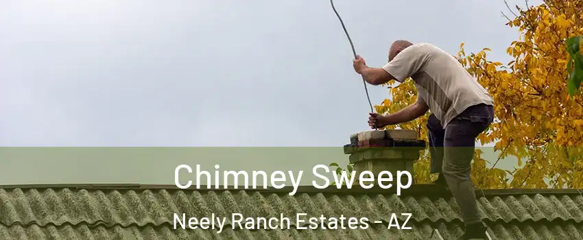 Chimney Sweep Neely Ranch Estates - AZ