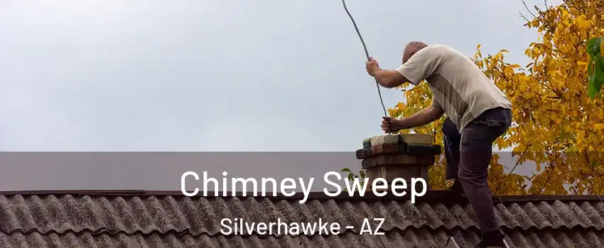 Chimney Sweep Silverhawke - AZ