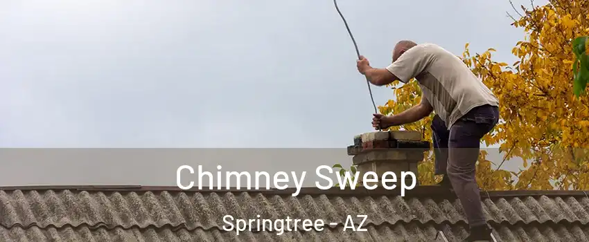 Chimney Sweep Springtree - AZ