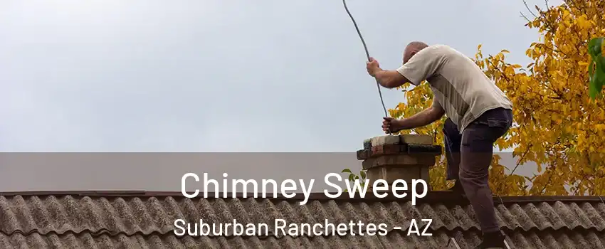 Chimney Sweep Suburban Ranchettes - AZ