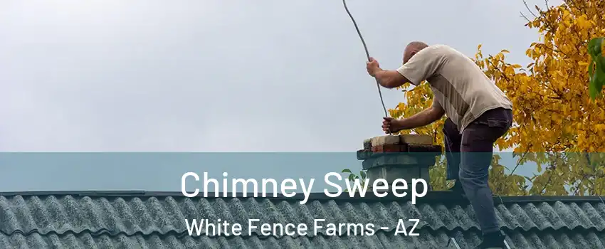 Chimney Sweep White Fence Farms - AZ