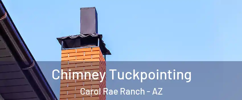 Chimney Tuckpointing Carol Rae Ranch - AZ