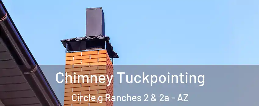 Chimney Tuckpointing Circle g Ranches 2 & 2a - AZ