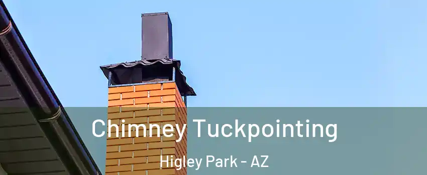 Chimney Tuckpointing Higley Park - AZ