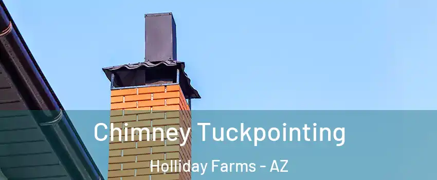 Chimney Tuckpointing Holliday Farms - AZ