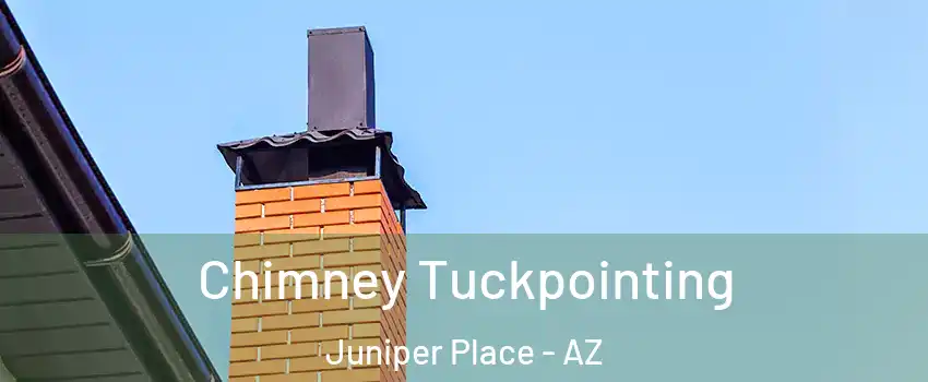 Chimney Tuckpointing Juniper Place - AZ