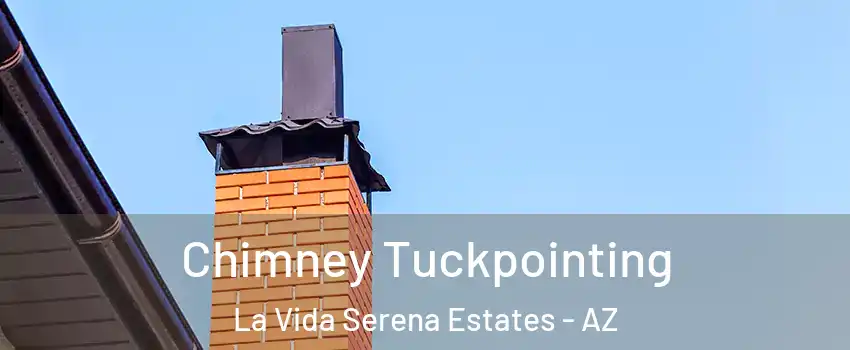 Chimney Tuckpointing La Vida Serena Estates - AZ