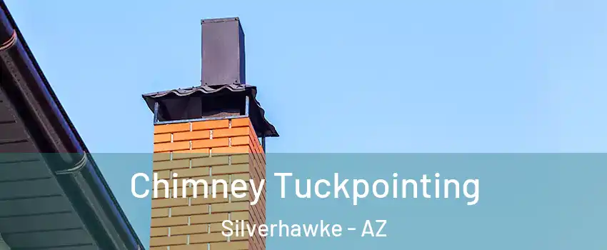 Chimney Tuckpointing Silverhawke - AZ