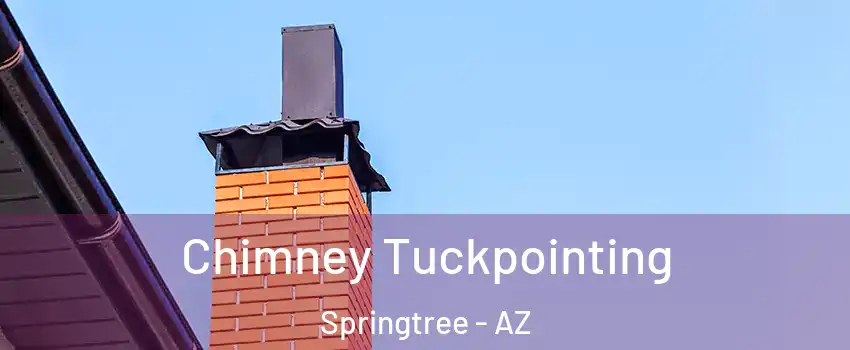 Chimney Tuckpointing Springtree - AZ