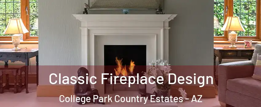 Classic Fireplace Design College Park Country Estates - AZ