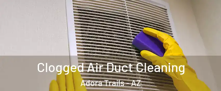 Clogged Air Duct Cleaning Adora Trails - AZ