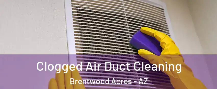Clogged Air Duct Cleaning Brentwood Acres - AZ