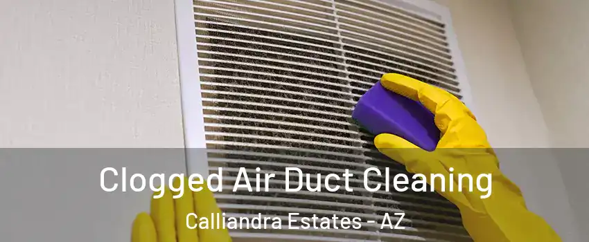 Clogged Air Duct Cleaning Calliandra Estates - AZ
