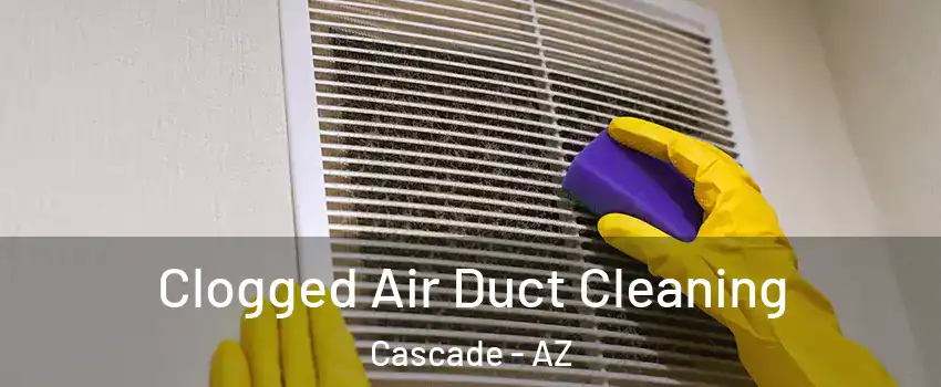 Clogged Air Duct Cleaning Cascade - AZ