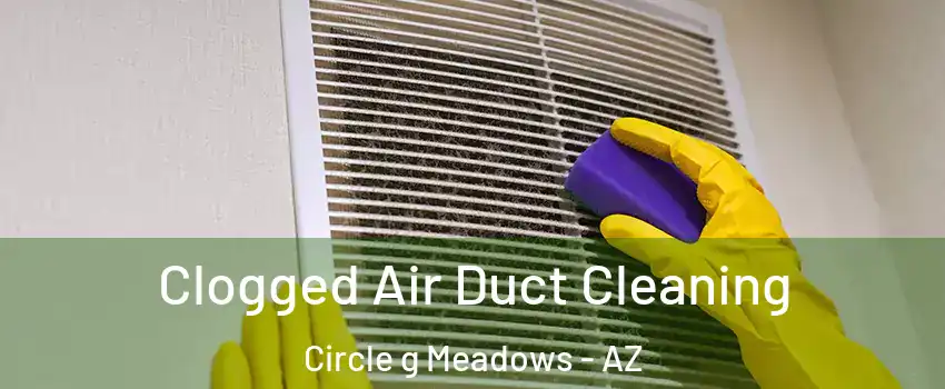 Clogged Air Duct Cleaning Circle g Meadows - AZ