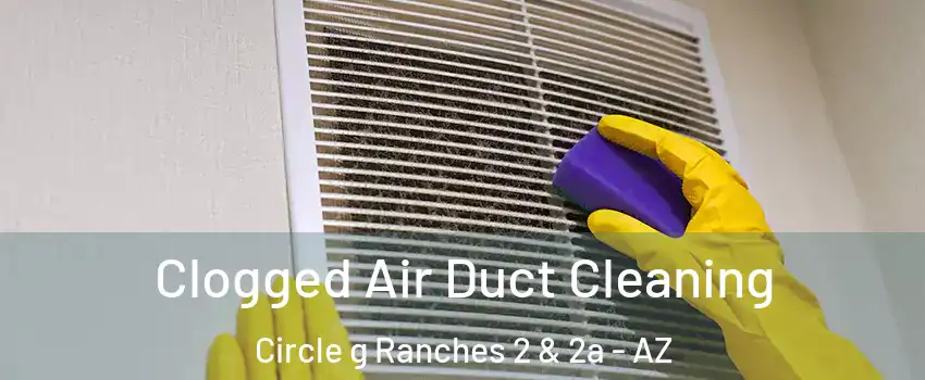 Clogged Air Duct Cleaning Circle g Ranches 2 & 2a - AZ