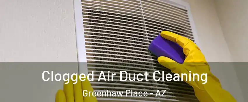 Clogged Air Duct Cleaning Greenhaw Place - AZ