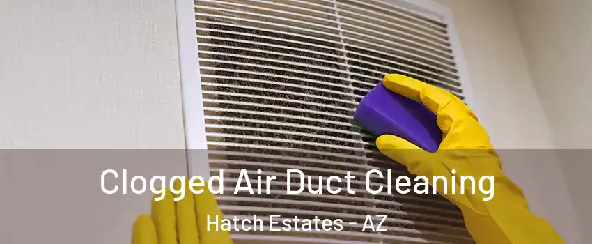 Clogged Air Duct Cleaning Hatch Estates - AZ