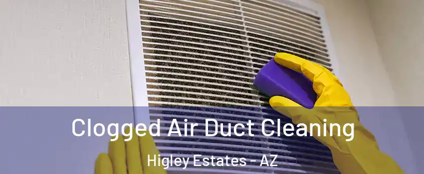 Clogged Air Duct Cleaning Higley Estates - AZ