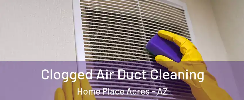Clogged Air Duct Cleaning Home Place Acres - AZ