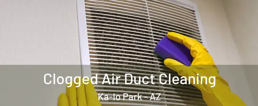 Clogged Air Duct Cleaning Ka-lo Park - AZ