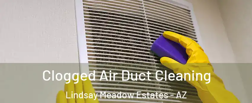 Clogged Air Duct Cleaning Lindsay Meadow Estates - AZ