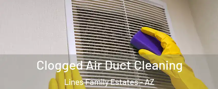 Clogged Air Duct Cleaning Lines Family Estates - AZ
