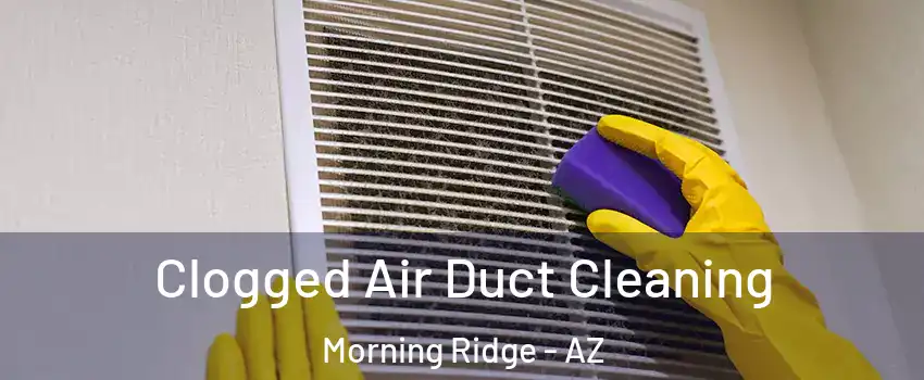 Clogged Air Duct Cleaning Morning Ridge - AZ