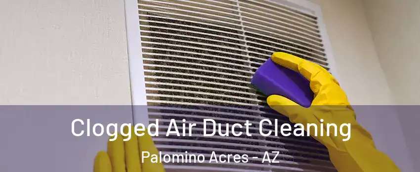 Clogged Air Duct Cleaning Palomino Acres - AZ