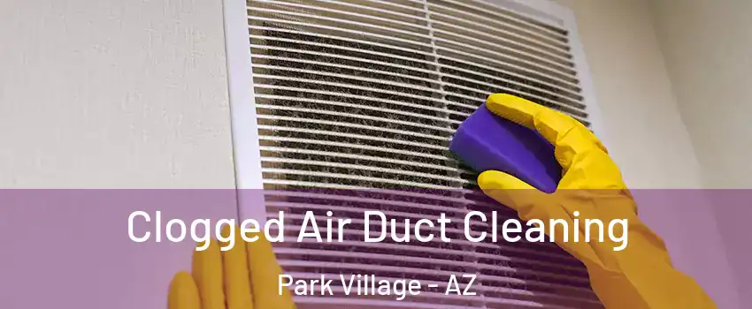 Clogged Air Duct Cleaning Park Village - AZ