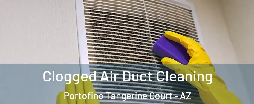 Clogged Air Duct Cleaning Portofino Tangerine Court - AZ