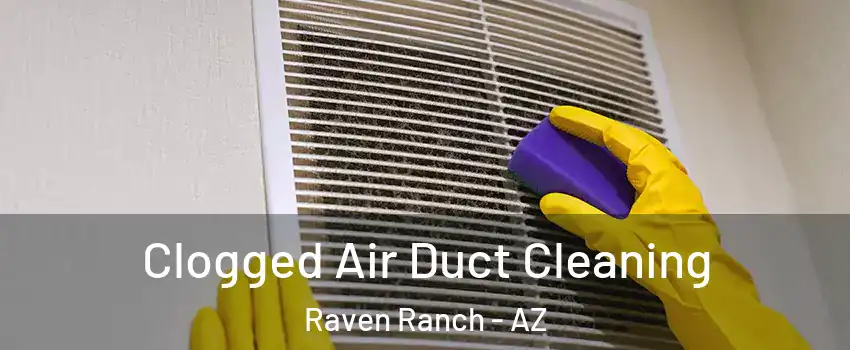 Clogged Air Duct Cleaning Raven Ranch - AZ