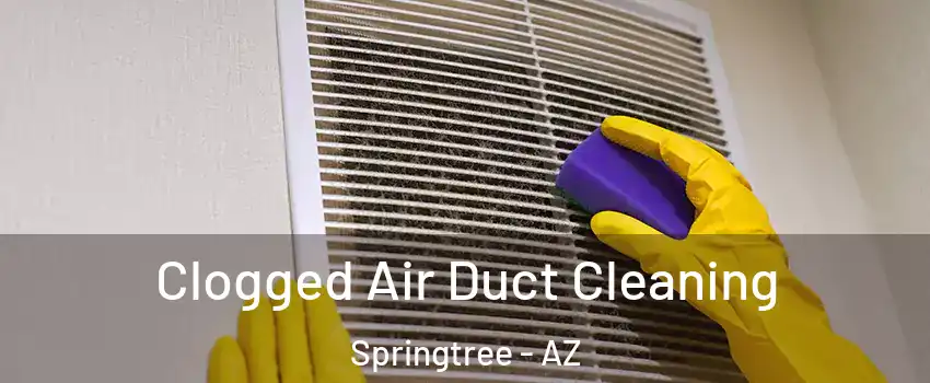 Clogged Air Duct Cleaning Springtree - AZ