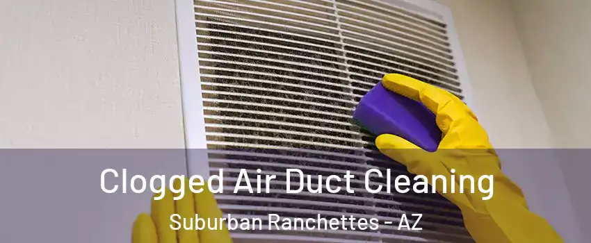 Clogged Air Duct Cleaning Suburban Ranchettes - AZ