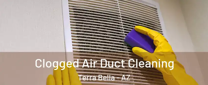 Clogged Air Duct Cleaning Terra Bella - AZ