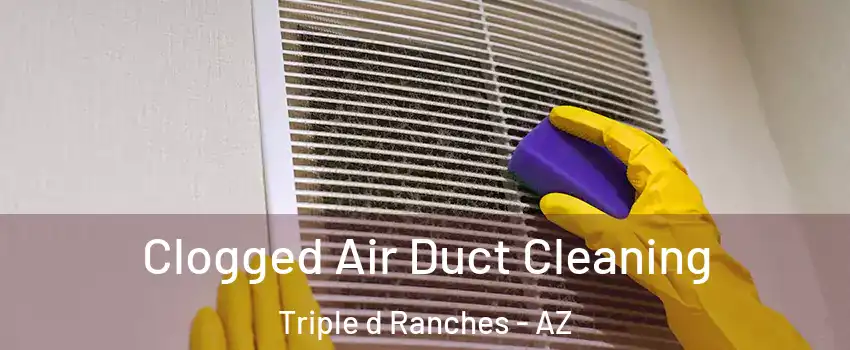 Clogged Air Duct Cleaning Triple d Ranches - AZ