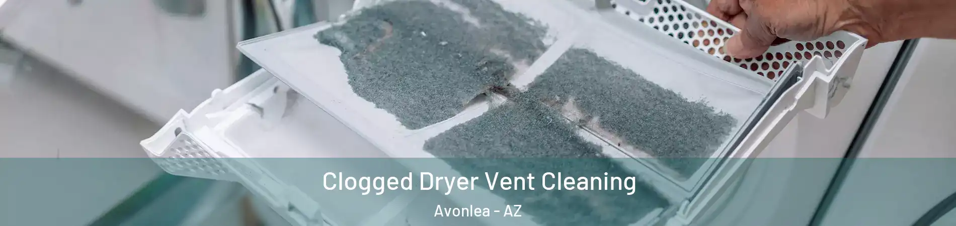 Clogged Dryer Vent Cleaning Avonlea - AZ