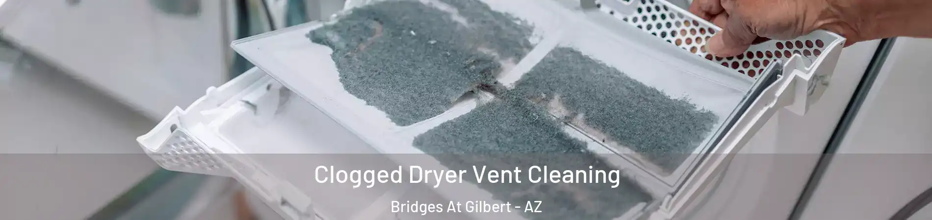 Clogged Dryer Vent Cleaning Bridges At Gilbert - AZ